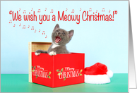 Meowy Christmas Gray Kitten Singing card