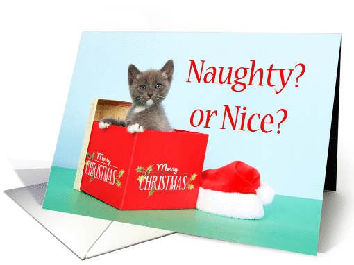 Christmas Present with Gray Kitten Naughty or Nice card (1438816)