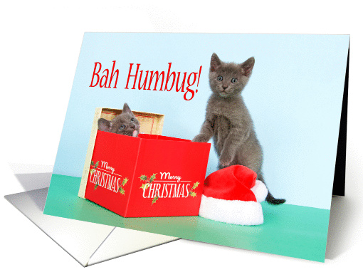 Christmas Present with Gray Kittens Bah Humbug card (1438818)