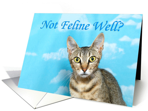 Not Feline Well? Humorous Get Well card (1441676)