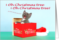 Humorous Kitten Singing Christmas Card