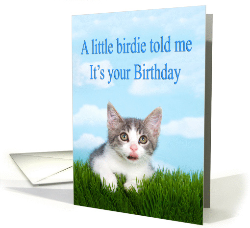 Humorous Kitten Birthday card (1441702)