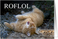 Humorous Cat Birthday Card ROFLOL card