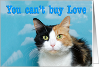 Calico Cat Can't Buy...