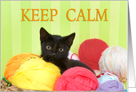 Black kitten in balls of yarn, crochet on card