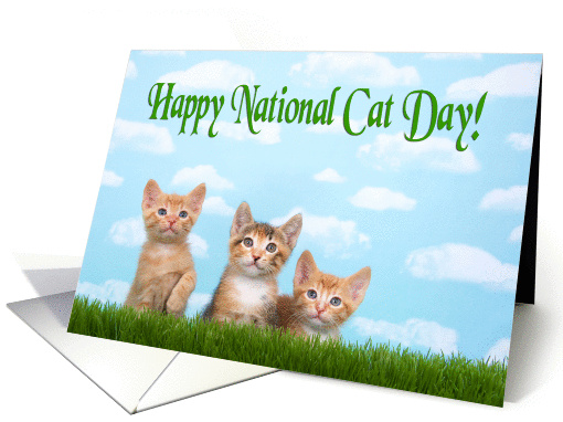 Three kittens lined up for National cat day card (1447248)