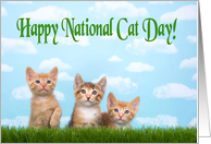 Three kittens lined up for National cat day card