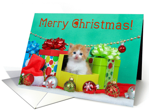 Ginger tabby kitten Merry Christmas card (1451072)
