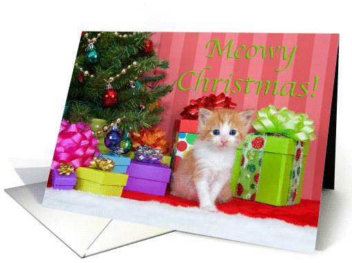Orange and white tabby kitten Meowy Christmas card (1451564)