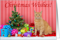 Ginger tabby cat Christmas Wishes card