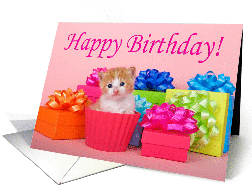 Cupcake kitten birthday card (1451610)