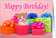 Cupcake kitten birthday card