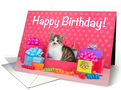 Pink polka dot kitten birthday card (1454706)