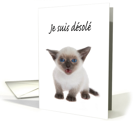 Siamese kitten I'm sorry in French card (1458796)