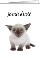 Siamese kitten I’m sorry in French card