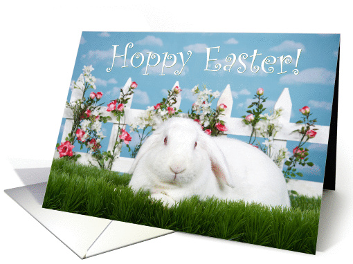 Albino lop eared bunny Hoppy Easter card (1463078)