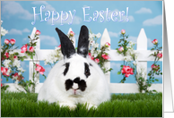 Black and white bunny in the garden happy Easter card