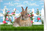 Small brown dwarf bunny hoppy Easter card