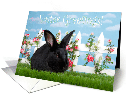 Big black bunny Easter Greetings card (1463098)