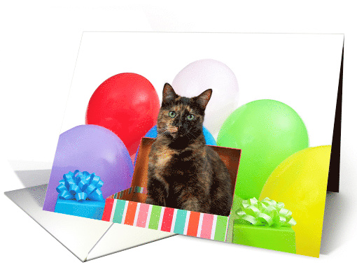 Tortoiseshell cat party Happy Birthday card (1474614)