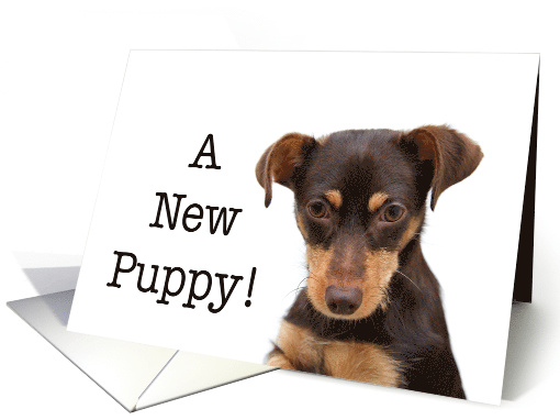 Congratulations, new puppy adoption card (1474626)