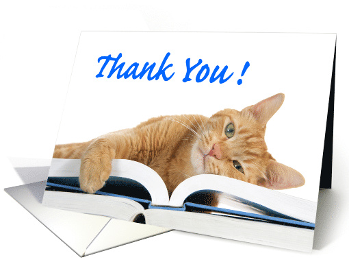Tabby cat thank you card (1478994)
