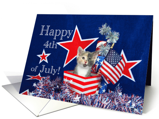 Calico kitten happy 4th of July card (1479082)