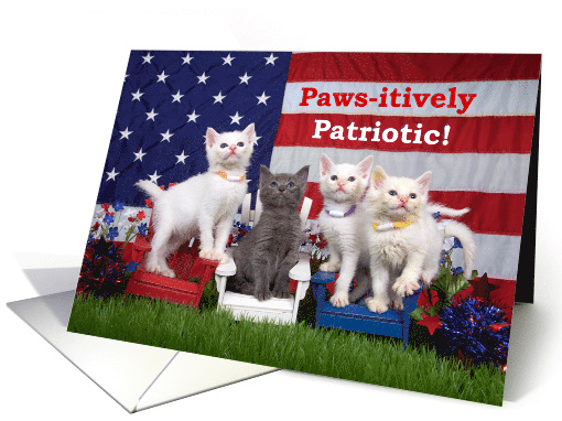 Four Paws-itively Patriotic 4th of July kittens card (1479726)