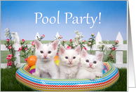 Kitten pool party invitation card