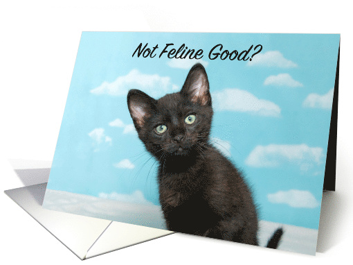 Black kitten comical get well card (1481034)