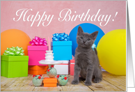 Gray kitten miniature party Happy Birthday card