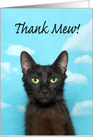 Regal cat Thank Mew Thank You card