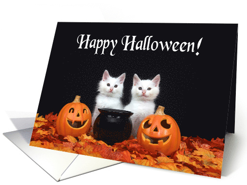 Two fluffy white kittens Happy Halloween card (1482328)