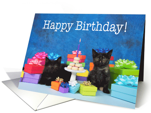 Two fluffy black kittens Happy Birthday card (1486378)