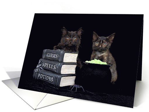 Black cats with books of curses spells and potions Happy... (1489530)