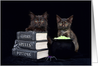 Black cats with books of curses spells and potions Happy Halloween card