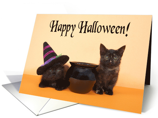 Adorable black kittens Happy Halloween card (1489532)