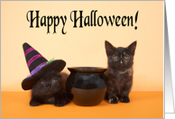 Adorable black kittens Happy Halloween card