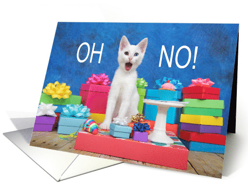 White kitten OH NO! Forgot your Birthday card (1489660)