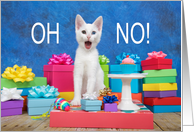 White kitten OH NO! Forgot your Birthday card