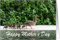 Mama duck with ducklings following Happy Mother’s Day card