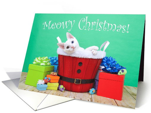 White kitten with heterochromia Festive Meowy Christmas card (1491770)