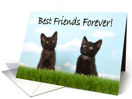 Best Friends Forever Happy Friendship Day card (1494280)