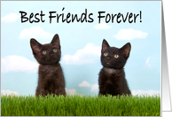 Best Friends Forever Happy Friendship Day card
