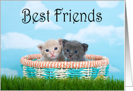 Tiny kittens Best Friends card