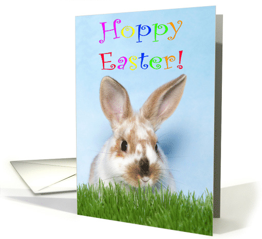 Baby Bunny Hoppy Easter card (1496158)