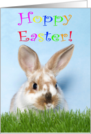 Baby Bunny Hoppy Easter card