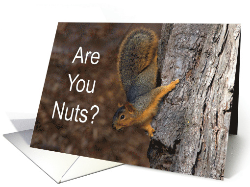 Are You Nuts Happy Valentine's Day card (1512282)