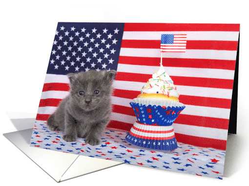 Happy Birthday on the fourth of July! card (1526900)