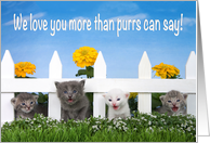 Four garden kittens wishing Happy Mother’s Day! card